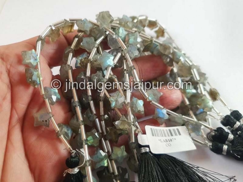 Labradorite Faceted Star Shape Beads