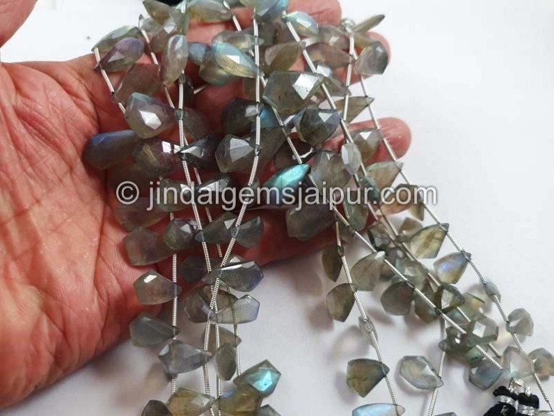 Labradorite Faceted Fancy Shape Beads