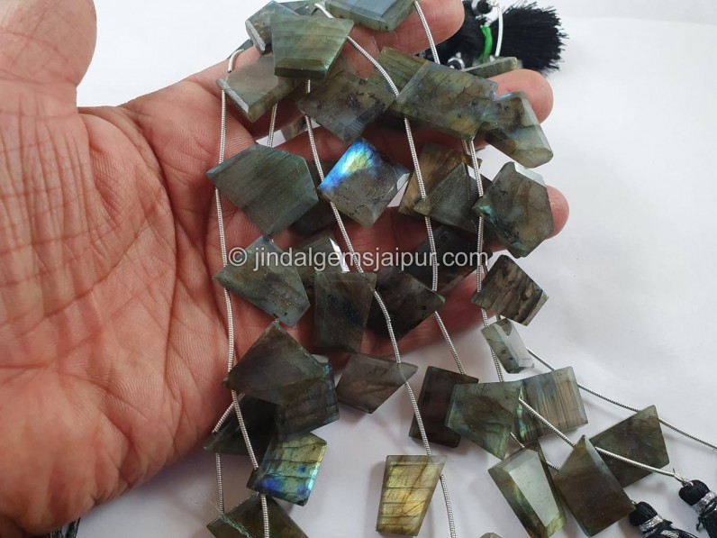 Labradorite Faceted Flat Table Cut Fancy Beads