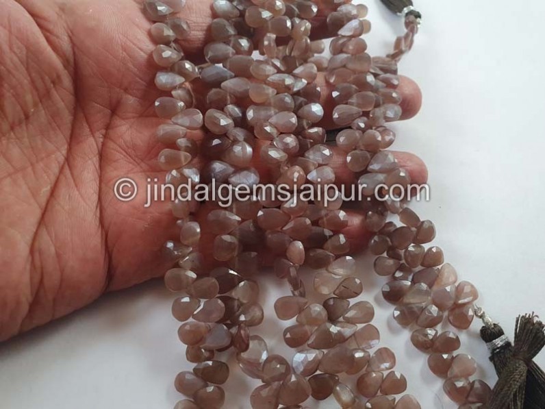 Chocolate Moonstone Faceted Pear Beads