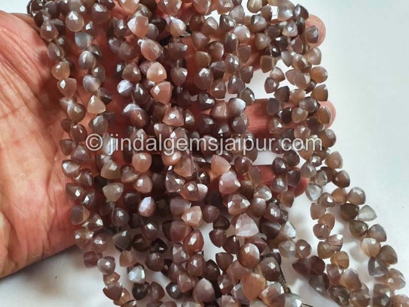 Chocolate Moonstone Faceted Trillion Beads