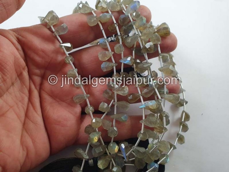 Labradorite Fancy Cut Drops Beads