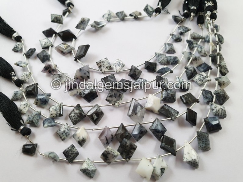 Dendritic Opal Cut Fancy Shape Beads