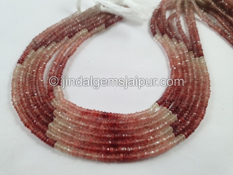 Andesine Labradorite Faceted Roundelle Beads