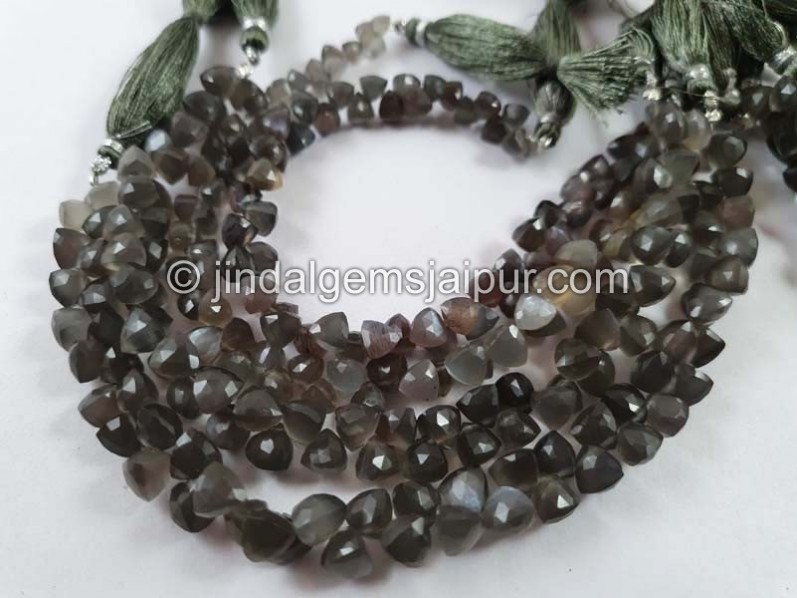 Grey Moonstone Faceted Trillion Beads