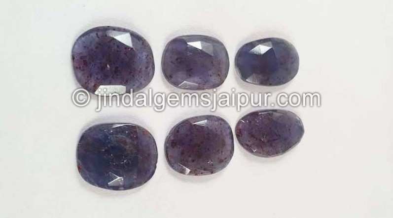 Iolite Sunstone Rose Cut Slices