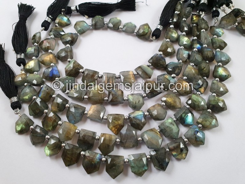 Labradorite Faceted Pentagon Beads