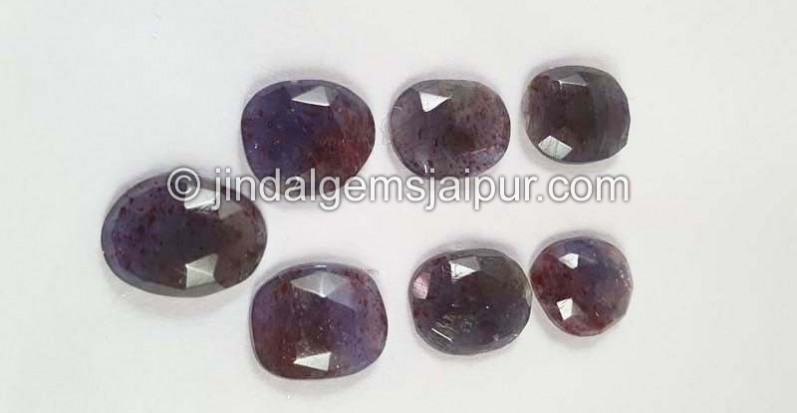 Iolite Sunstone Rose Cut Slices