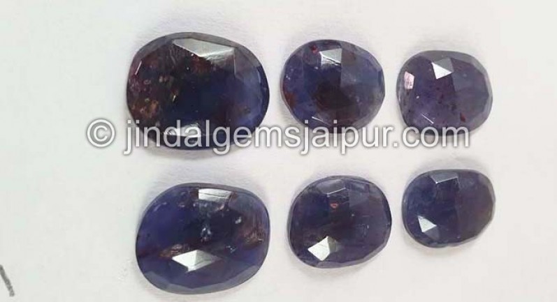 Iolite Sunstone Rose Cut Slices