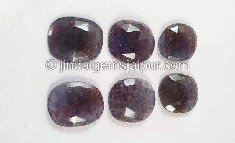 Iolite Sunstone Rose Cut Slices