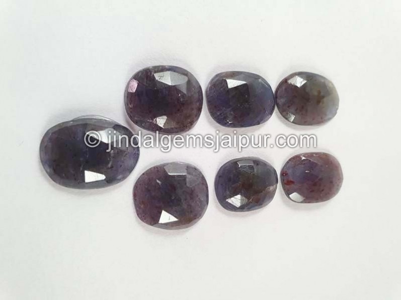 Iolite Sunstone Rose Cut Slices