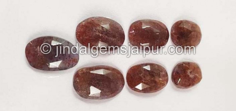 Iolite Sunstone Rose Cut Slices