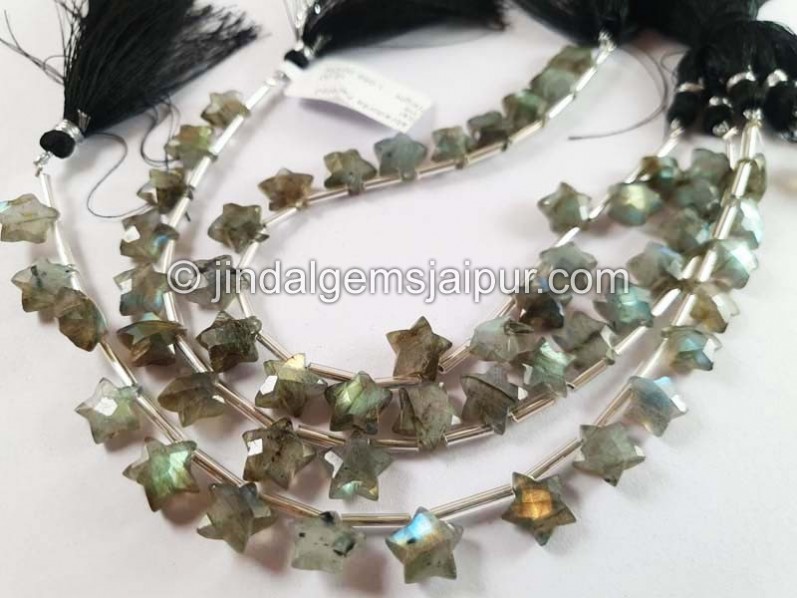 Labradorite Faceted Star Shape Beads