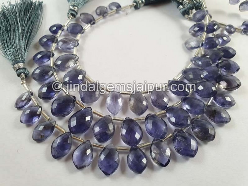 Iolite Faceted Dolphin Pear Beads