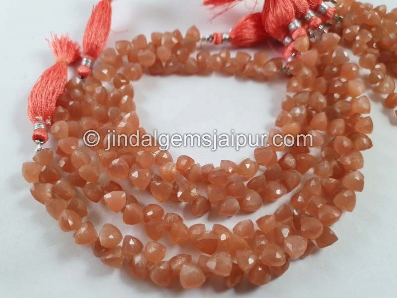 Peach Moonstone Faceted Trillion Beads