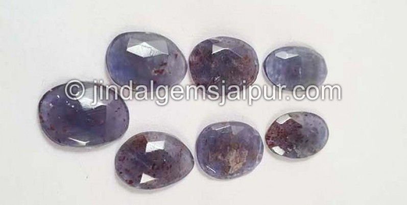 Iolite Sunstone Rose Cut Slices