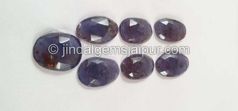 Iolite Sunstone Rose Cut Slices