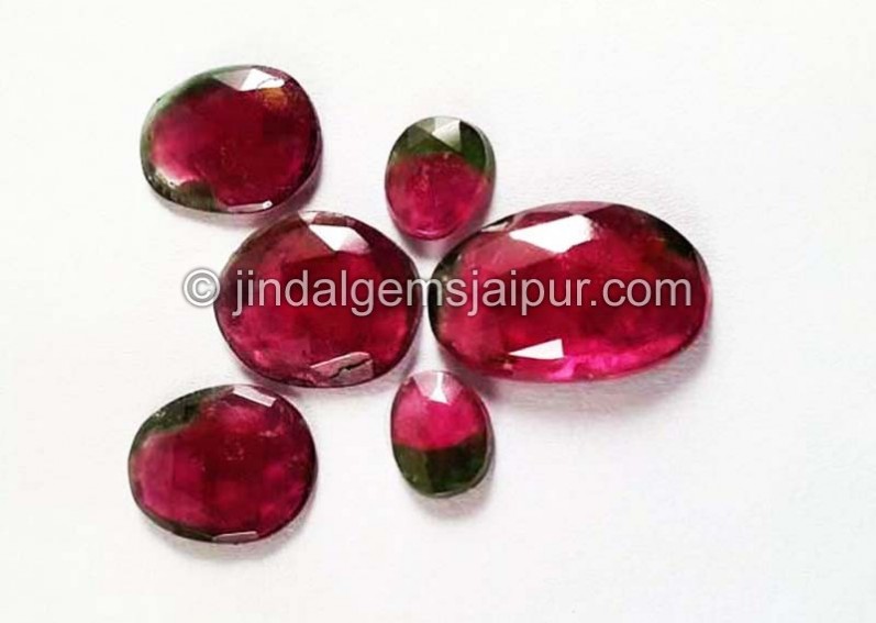 Watermelon Tourmaline Rose Cut Slices