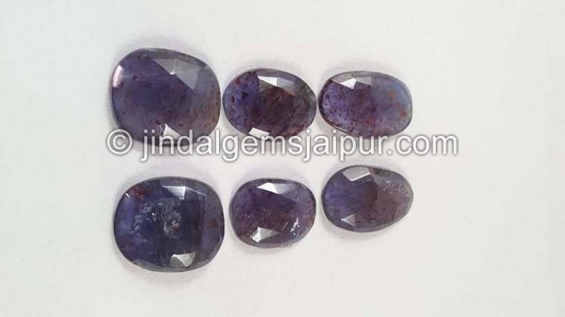 Iolite Sunstone Rose Cut Slices