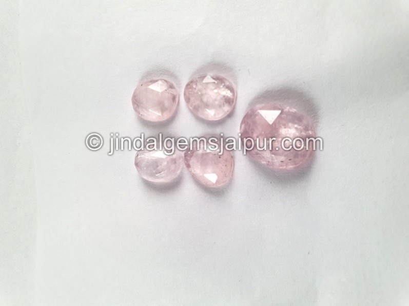 Morganite Rose Cut Slices