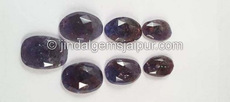 Iolite Sunstone Rose Cut Slices