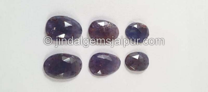 Iolite Sunstone Rose Cut Slices