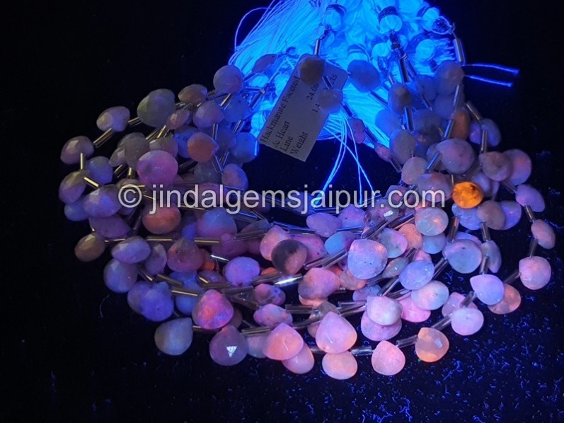 Hackmanite Faceted Heart Beads