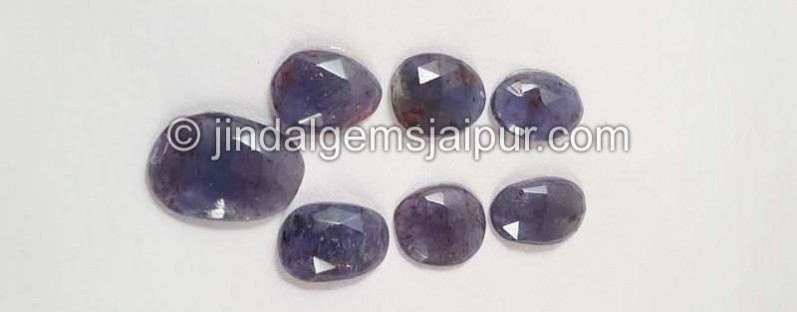 Iolite Sunstone Rose Cut Slices