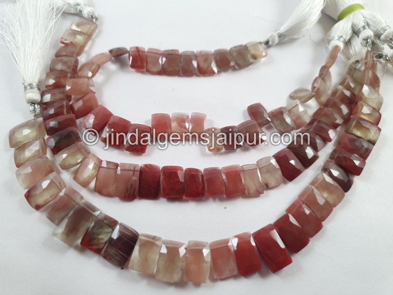 Andesine Labradorite Faceted Rectangle Beads