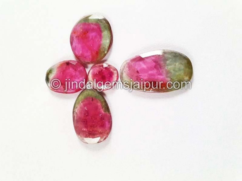 Watermelon Tourmaline Rose Cut Slices