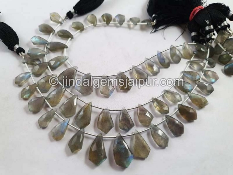 Labradorite Faceted Fancy Shape Beads