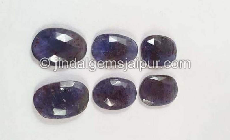 Iolite Sunstone Rose Cut Slices