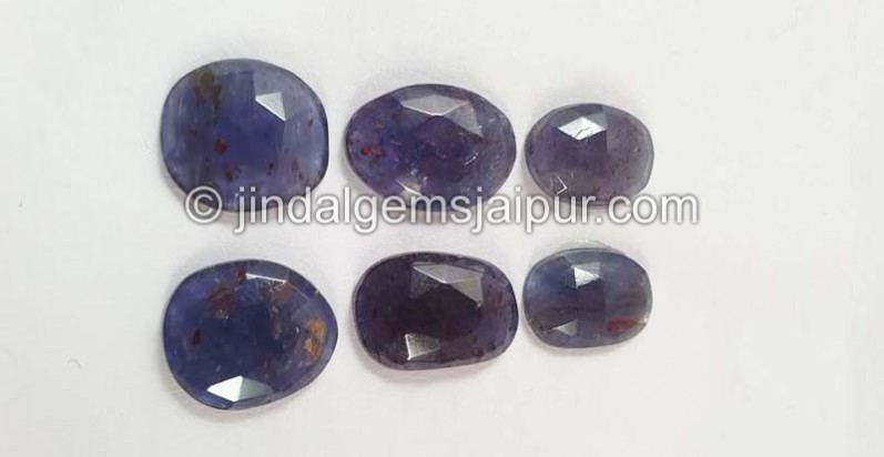 Iolite Sunstone Rose Cut Slices