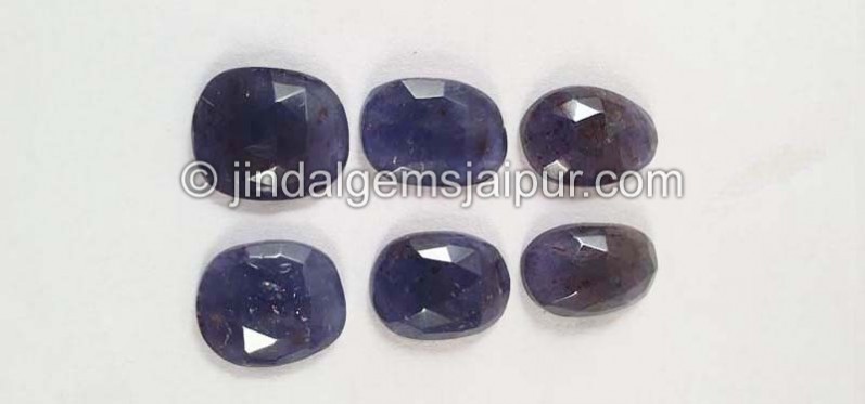 Iolite Sunstone Rose Cut Slices