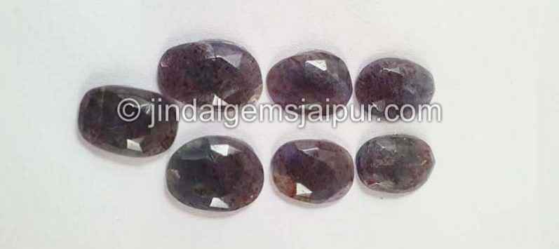 Iolite Sunstone Rose Cut Slices