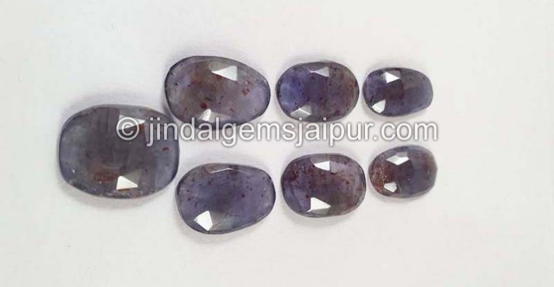 Iolite Sunstone Rose Cut Slices