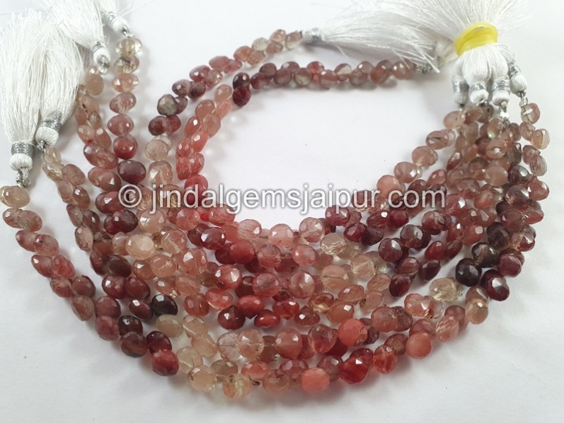 Andesine Labradorite Faceted Onion Beads