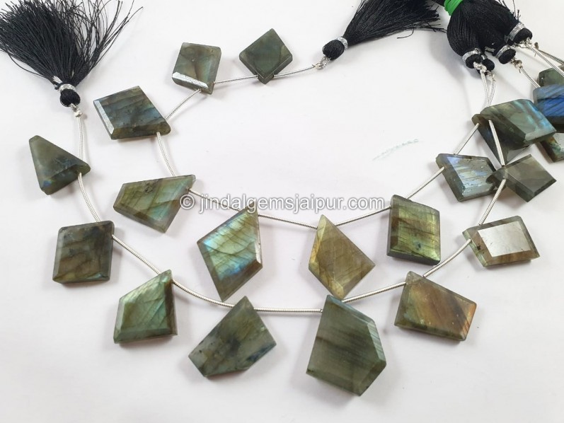 Labradorite Faceted Flat Table Cut Fancy Beads