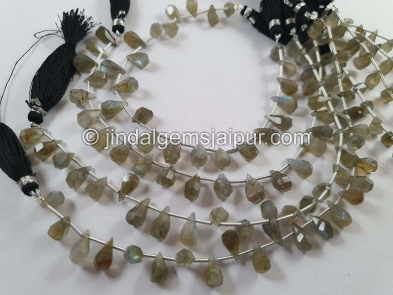 Labradorite Fancy Cut Drops Beads