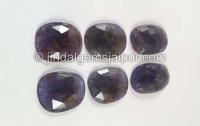 Iolite Sunstone Rose Cut Slices