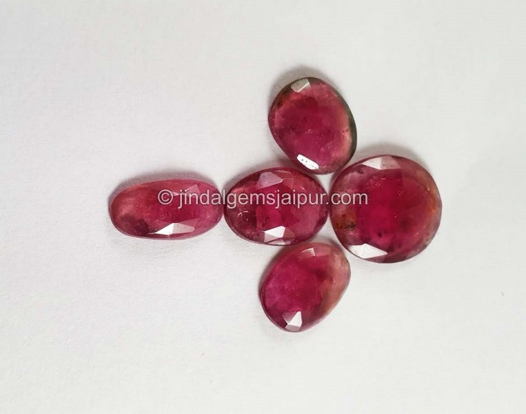 Watermelon Tourmaline Rose Cut Slices