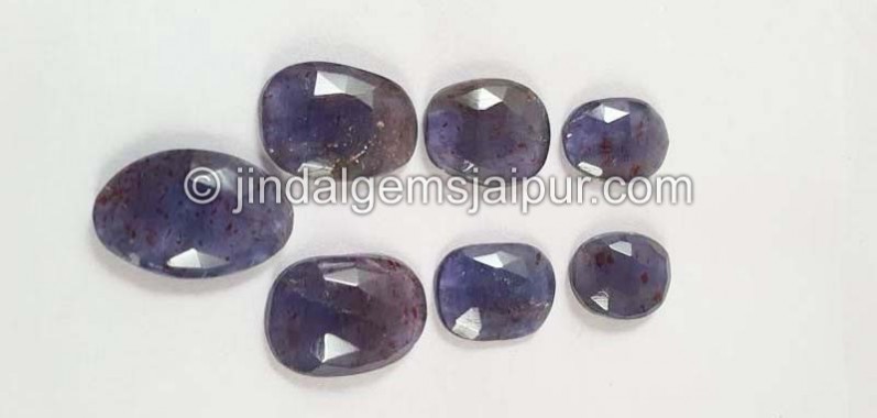 Iolite Sunstone Rose Cut Slices