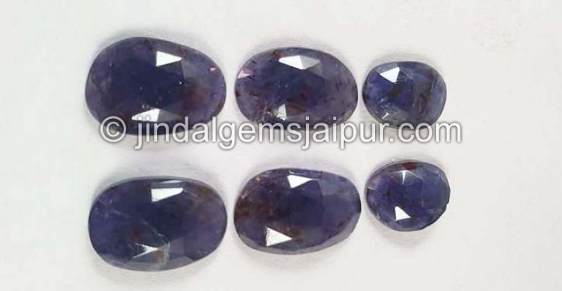 Iolite Sunstone Rose Cut Slices