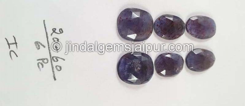 Iolite Sunstone Rose Cut Slices