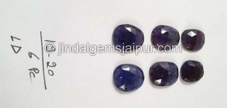 Iolite Sunstone Rose Cut Slices