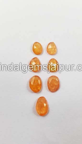 Mandarin Garnet  Rose Cut Slices