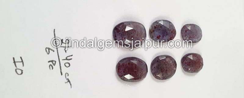 Iolite Sunstone Rose Cut Slices