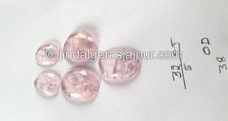 Morganite Rose Cut Slices