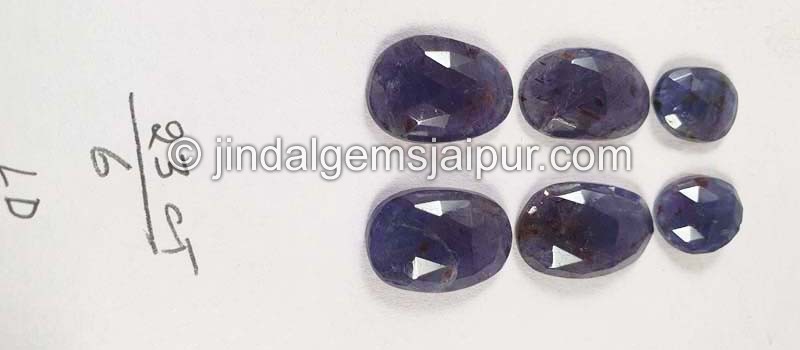 Iolite Sunstone Rose Cut Slices