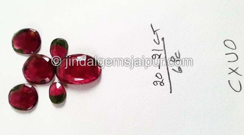 Watermelon Tourmaline Rose Cut Slices